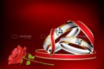Pair of Wedding Rings with Red Ribbon and Rose